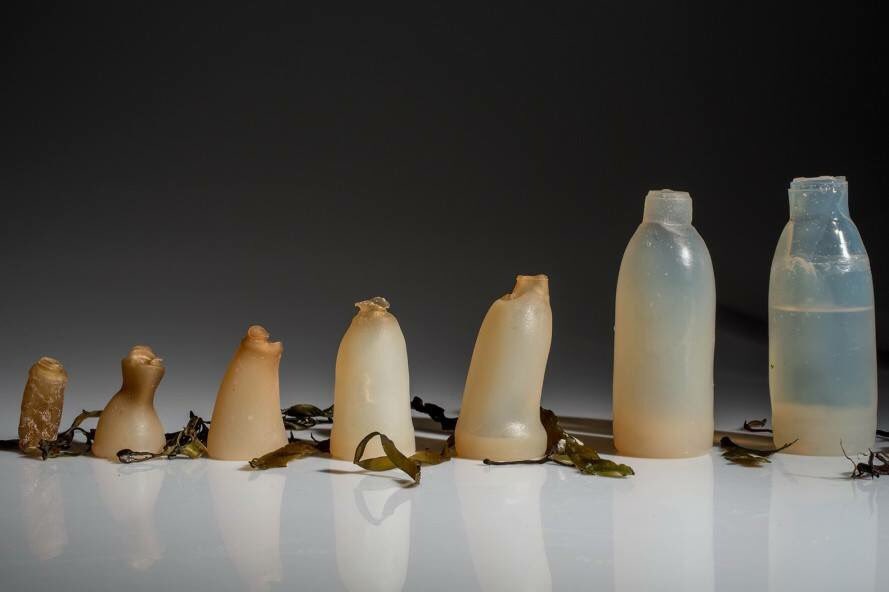 Trend_tank's tweet photo. #Biodegradable water bottles made of algae provide a #green alternative to plastic. | https://t.co/x3MiFfiawG https://t.co/pmlYNrc9tE