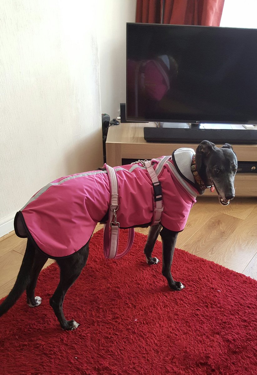 CarlatheGreyt's tweet photo. Yes my noo pink coat looks fab.can we go pooclub purleeze.momma fed up wiff people calling me a him BOL. https://t.co/toVB571S23