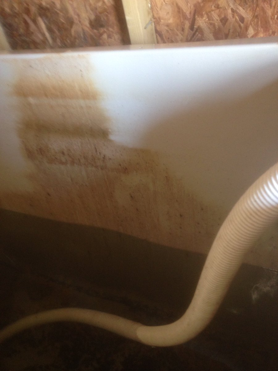 Dean Rowe tweet media