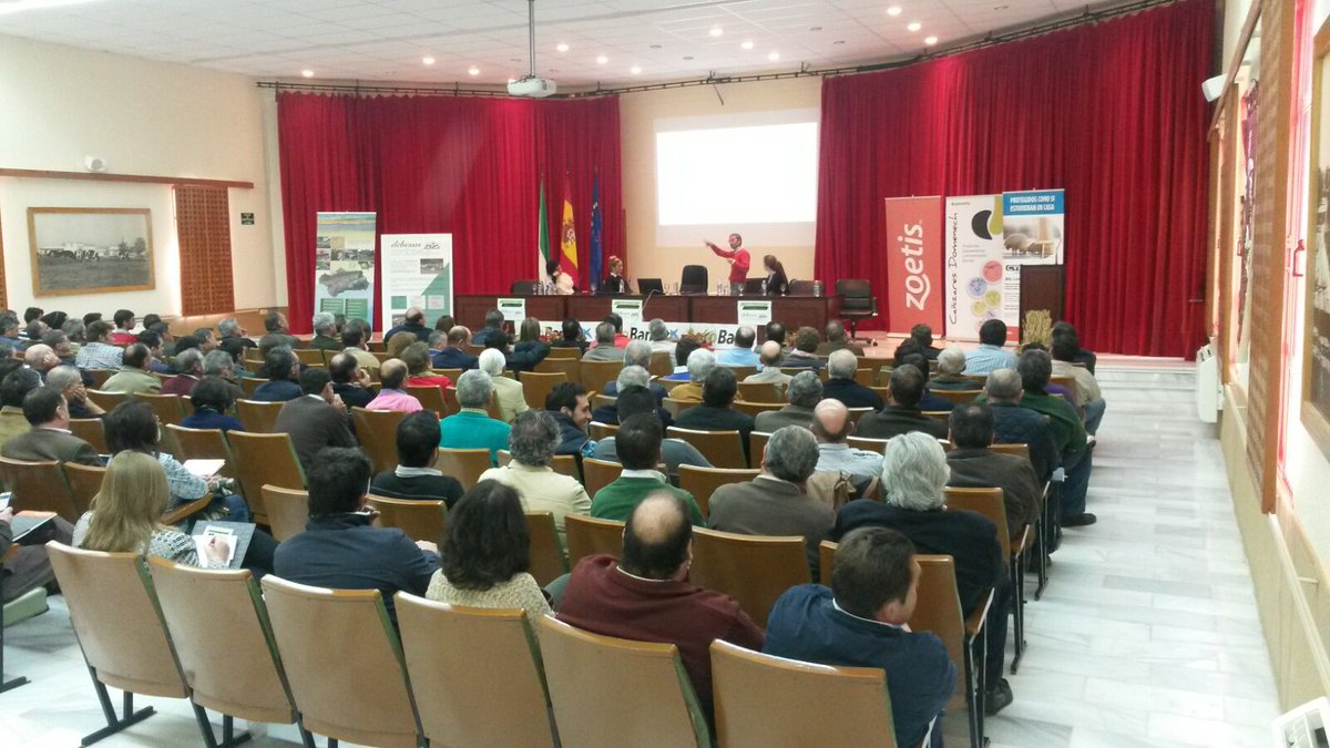corpedroches's tweet photo. @corpedroches I Jornada Técnica Dehesas Cordobesas - Corpedroches  ponencia grupo @oviso https://t.co/0vwvJ6bPEu