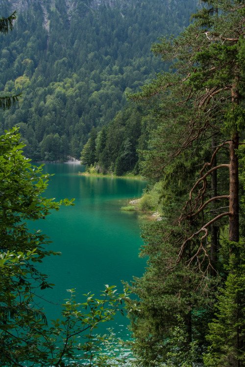 PicStreetFR's tweet photo. Eibsee, Germany (by Antonio Spiller) / https://t.co/gT6WqKib6l #travel #voyage #photography #tourism https://t.co/eh87BPEg9u
