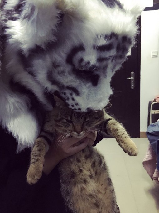 Watch Juanmao's leaked NSFW photo on TwXstars