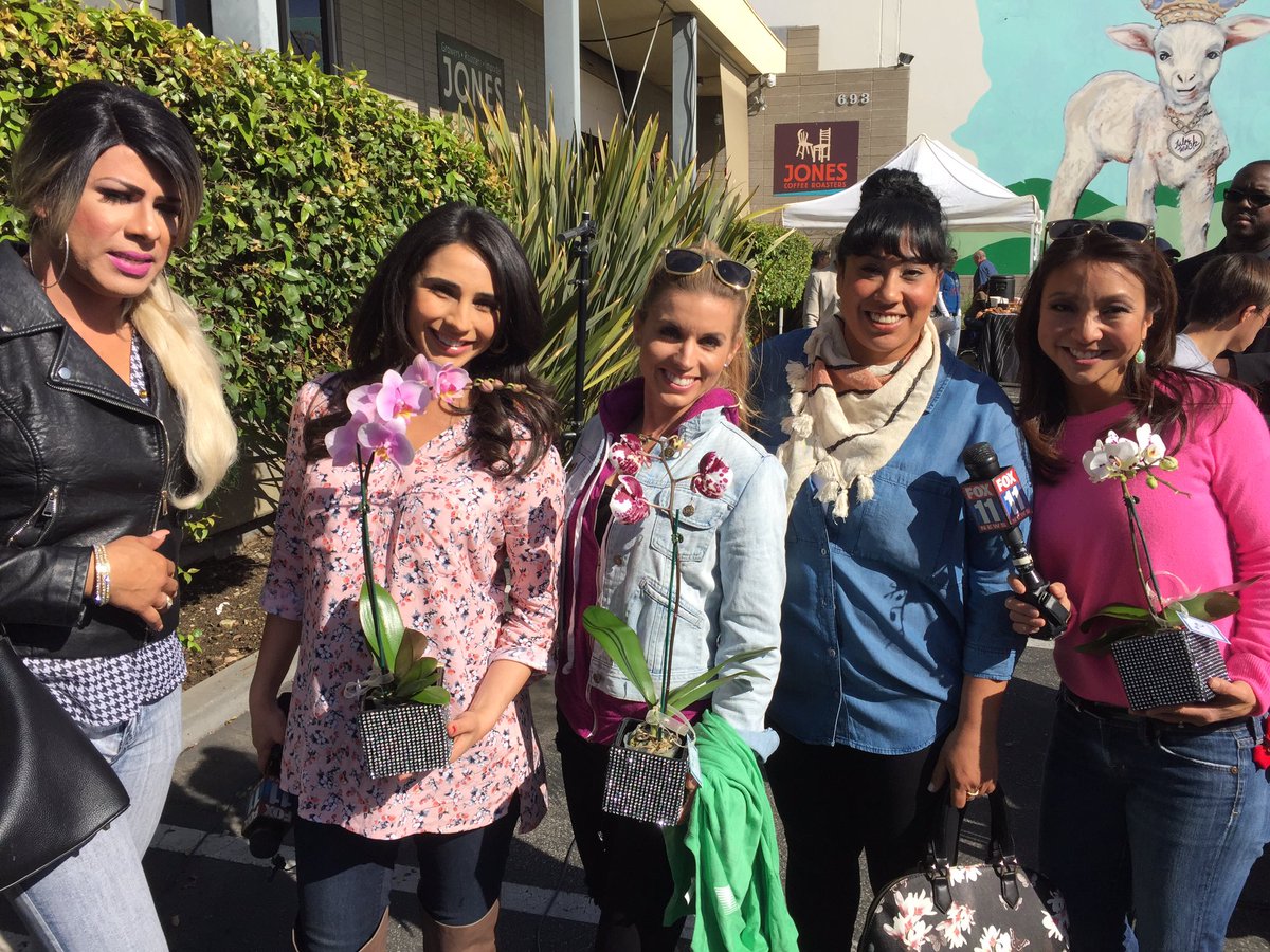 Fox11TalkNow's tweet photo. @Araksya @MariaSansone @SteveGDLA @sandraendotv @JonesCoffeePas @ozomatli  @LilBlueHumbird @Thatboiinthe562 https://t.co/7JDjnM25hN