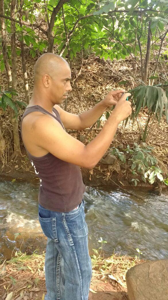 niltoncesarlob1's tweet image. 