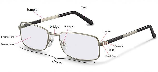 anatomy of eyeglasses