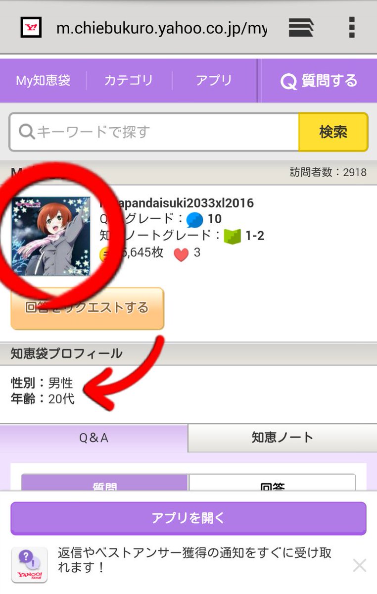 ロウレスちゃんでぇ す にこ厨 オタクオタクと騒がしいので少し調べてたらこんなことが 小4の女子ですか この子のアカウント代男性ってなっているのは何でだろう しかも アイコンはりんちゃんですね そして アニメ程度の趣味ですか アニメって