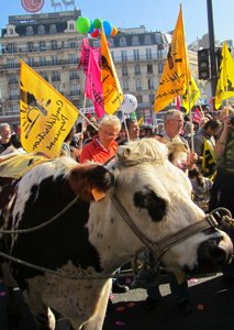 ConfPaysanne's tweet photo. Pourquoi la Confédération paysanne soutient les luttes contre la #LoiTravail ? https://t.co/yXbFSb5aGd https://t.co/ZGUSvNfMKr