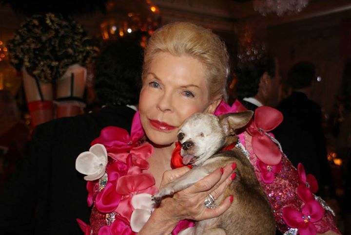 LoisPope1's tweet photo. For @Harley_Mill_Dog : Let's Shut Puppy Mills Now! https://t.co/sgLOM4nkyW via @HuffPostImpact https://t.co/IyRXWGzchz
