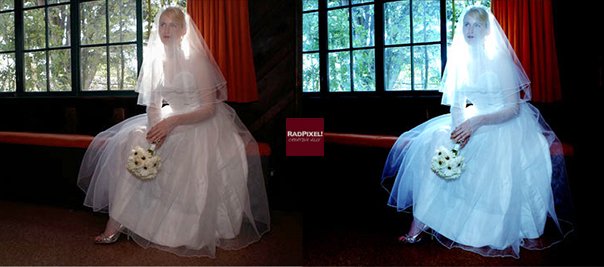 Radpixel's tweet image. 