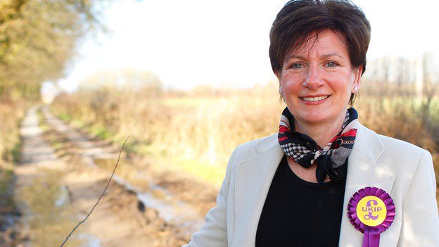 UKIP's tweet image. Join @DianeJamesMEP at the @MakeVotesMatter&apos;s  #Demo4Democracy on May 7th facebook.com/events/1732795…