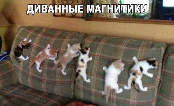 Татьяна К (@k_kichint) on Twitter photo 