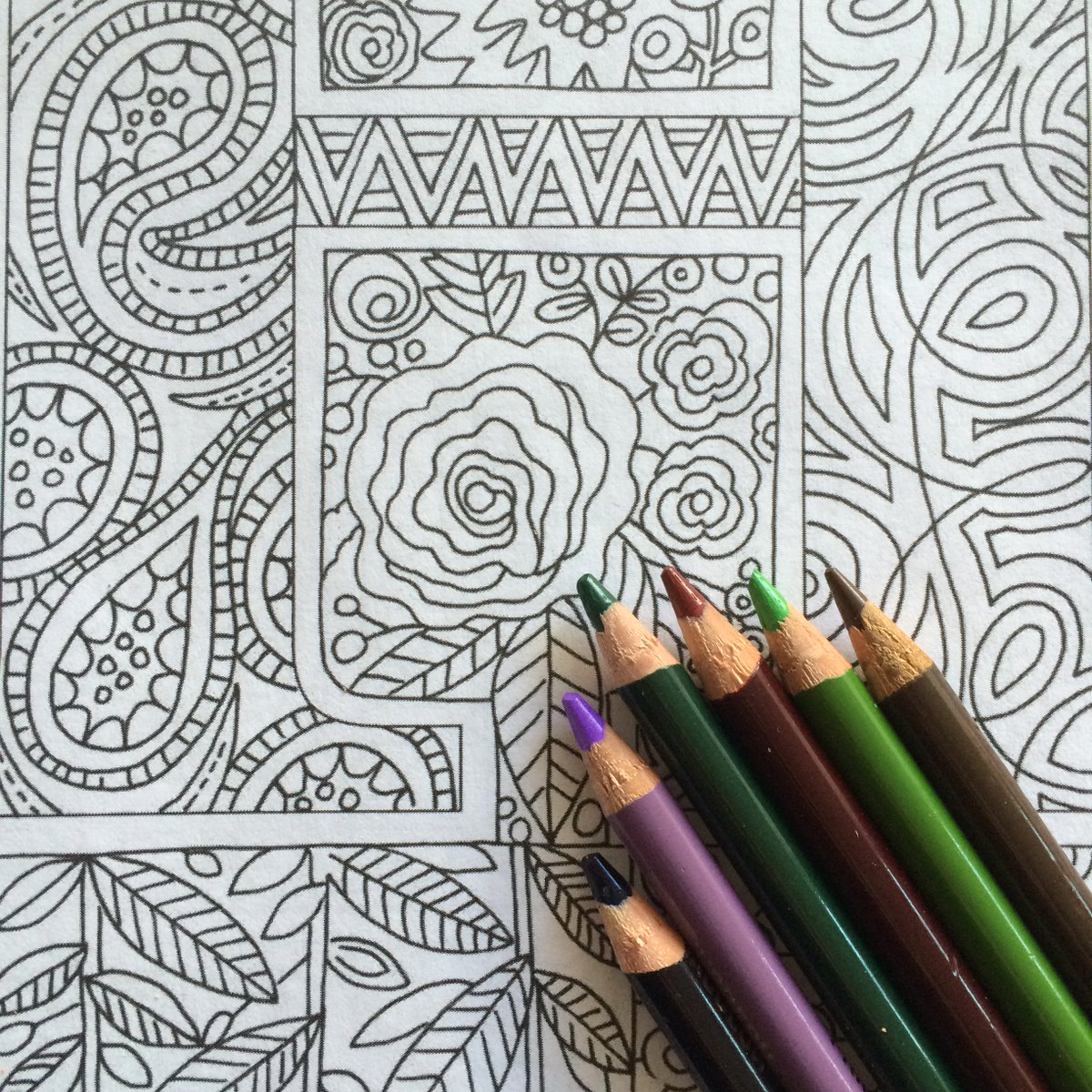 ColorMeIns's tweet image. A relaxation of adult coloring books #ModernCollectiveNouns