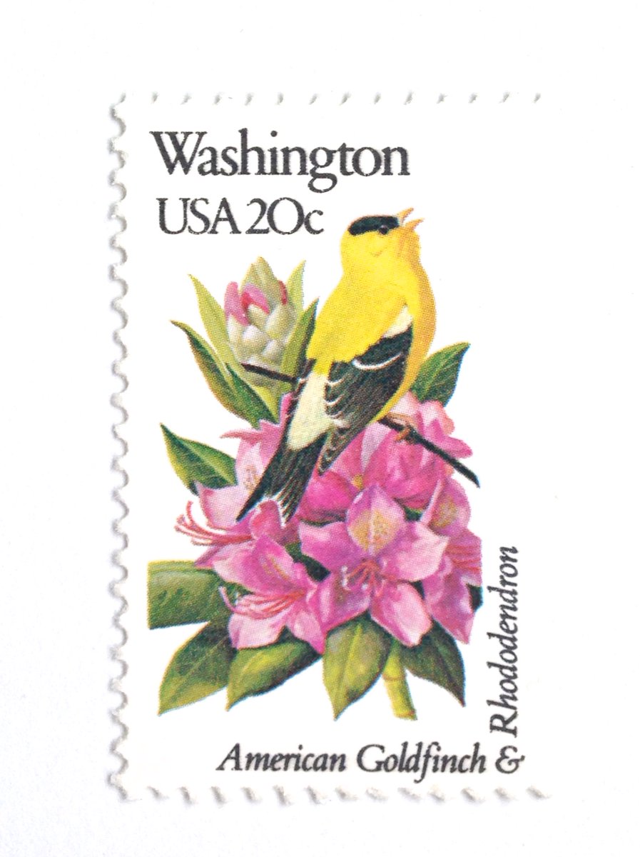 I can't get enough of this vintage Washington State stamp.  etsy.me/1RINkIp