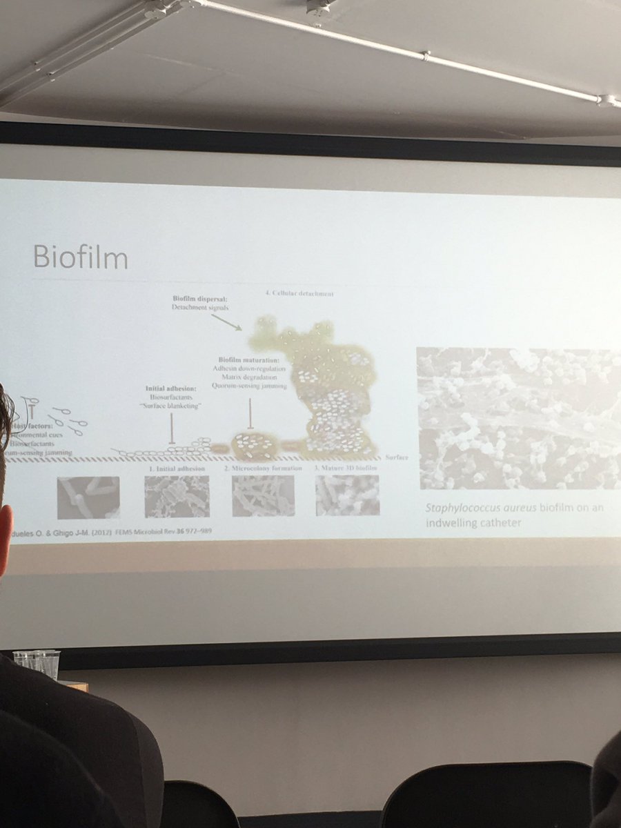 irishwaterstudy's tweet photo. Prof. Jose Luis Sanchez @udlap presents his work on bio fouling in #DCU @DCUWater https://t.co/PAV9RbdUjU