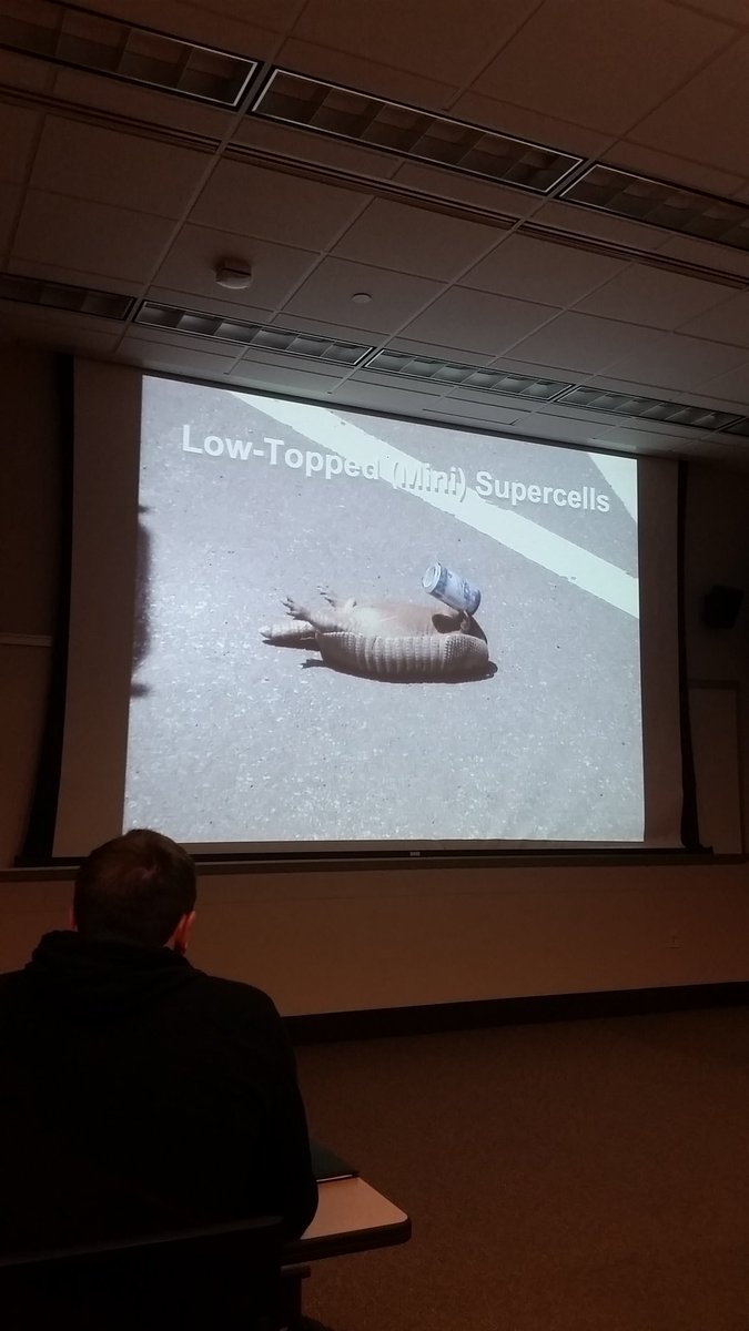 book Erträgnisse Deutscher Aktiengesellschaften Vor und Nach dem Kriege: Mit Überblick