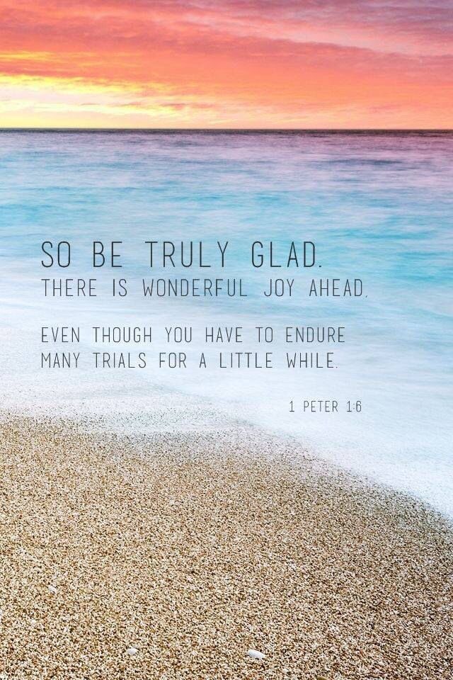 bayjturner's tweet photo. you may need this. Happy Wednesday https://t.co/XwJWWMawOv