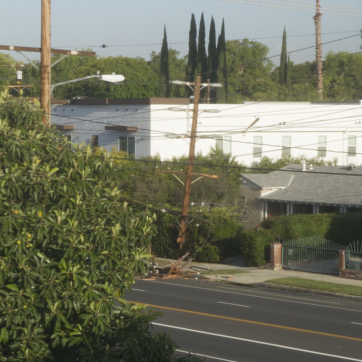 TimberHoy's tweet photo. What woke me up at 2am and is going to make it very hard to go anywhere today: #shermanoaks #livepowerlines https://t.co/Ix9uUTHNCh