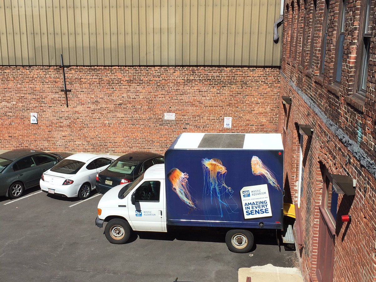 reviewed's tweet photo. Ever wonder what happens to the products we test? For fridges, many get donated to the @mysticaquarium! https://t.co/3j2vL0I26Y