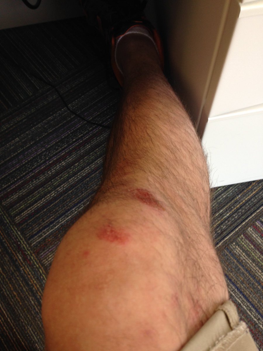 Michael Thibeault tweet media