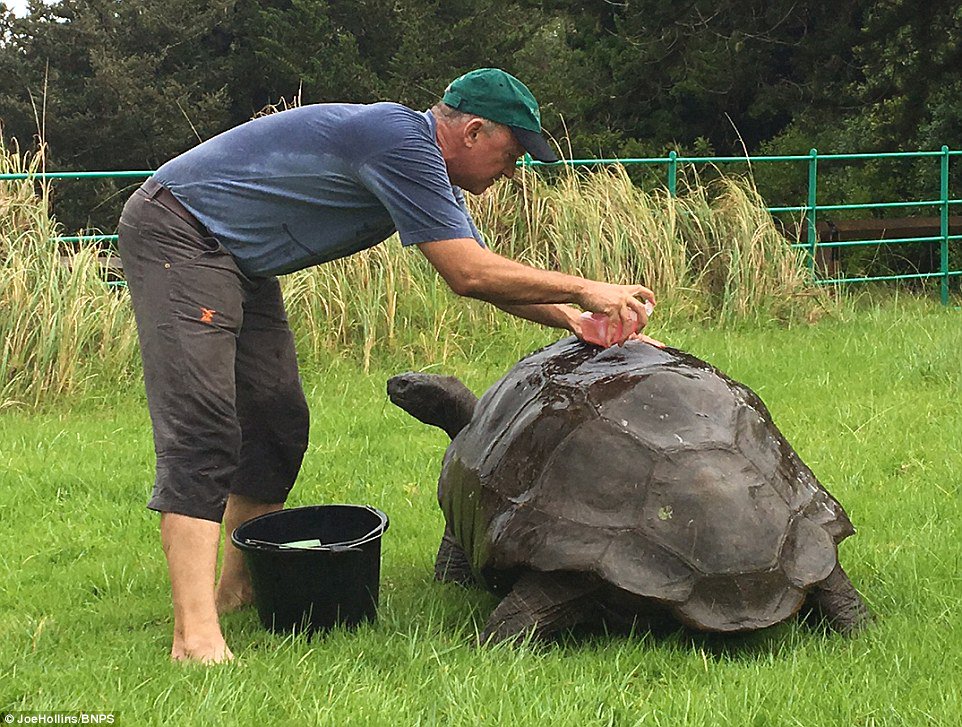edenroat's tweet photo. 184-Year-Old Tortoise Has His First Bath Ever https://t.co/sgsbsshrDr https://t.co/87baZzffW7