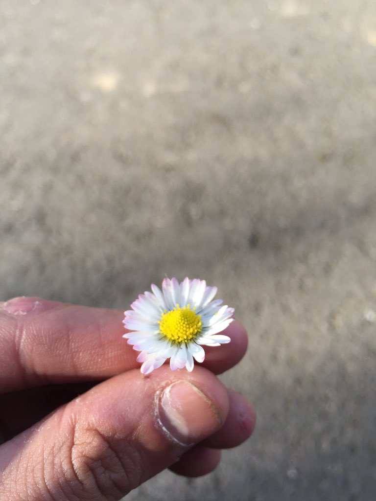 GDLogout's tweet image. Should I eat this or not?