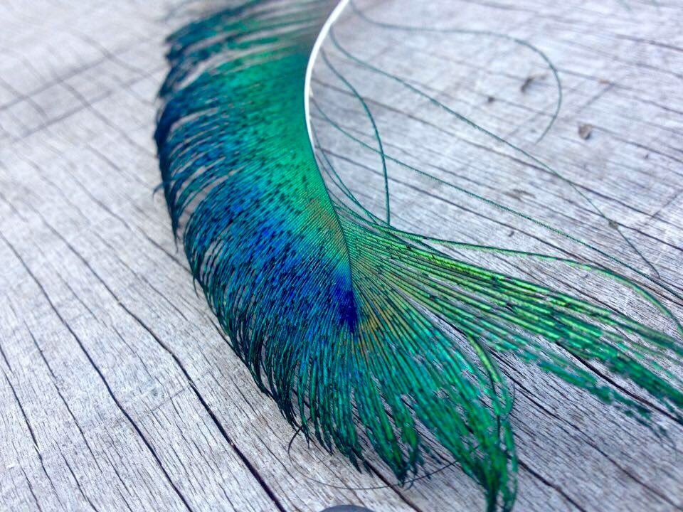 davepancham1's tweet image. 