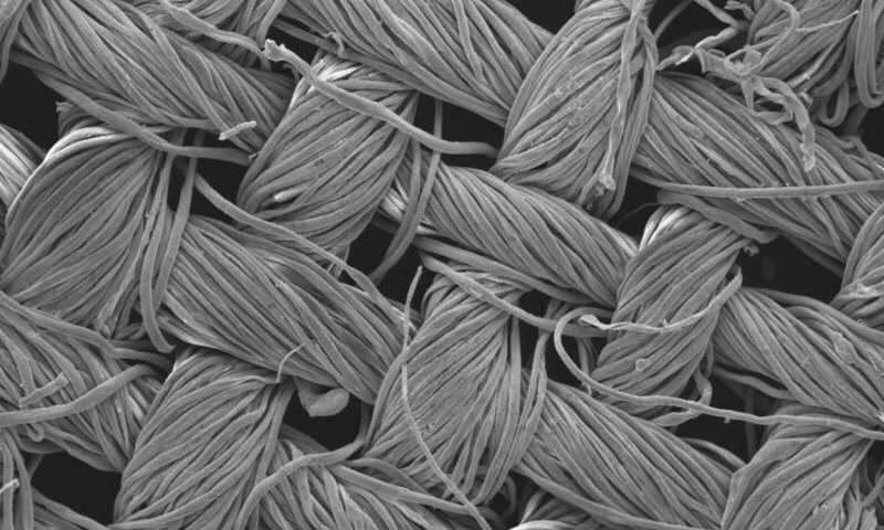 Trend_tank's tweet photo. No more washing: Nano-enhanced textiles clean themselves with light. | https://t.co/fo5fWxfHeH https://t.co/pkcoAHi0f7