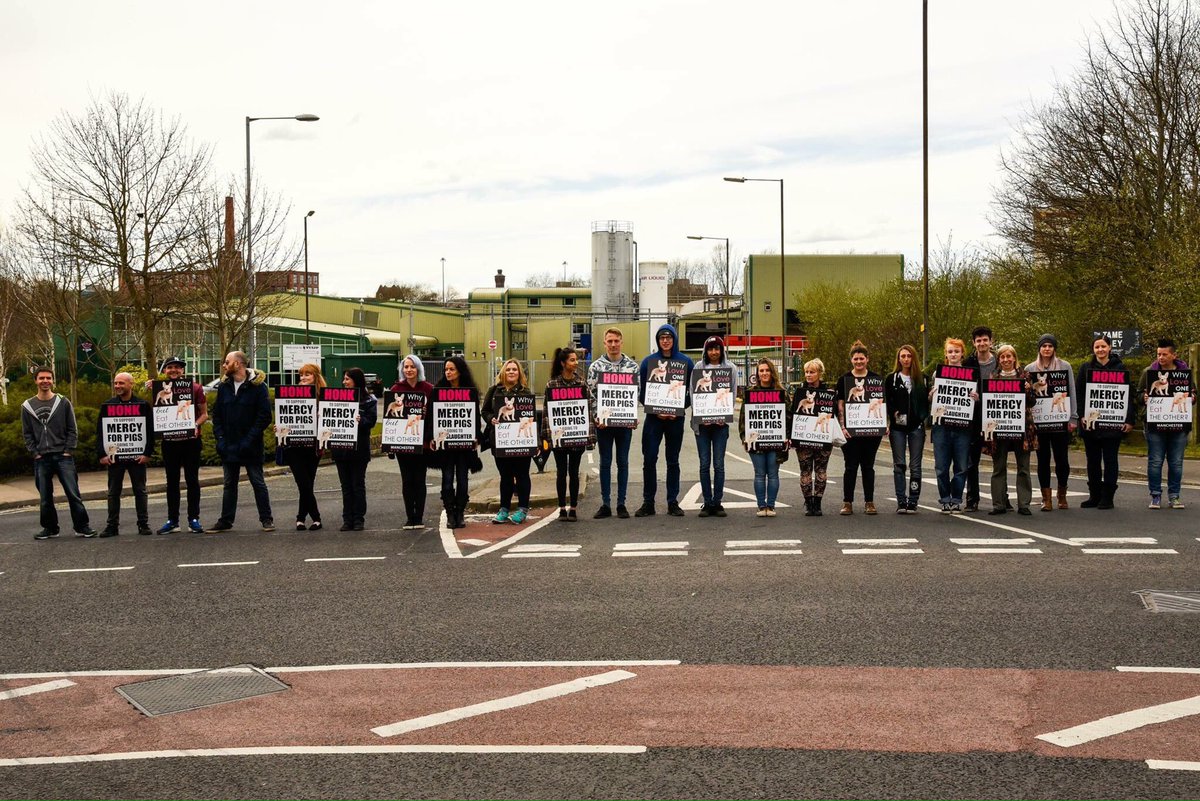 We will always bear witness! <a href="/Mancpigsave/">Manchesterpigsave</a> <a href="/TorontoPigSave/">TorontoPigSave</a>