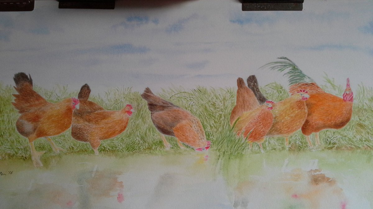 grenvilleallen's tweet photo. Hens now have yellow legs. After many glazes😩&amp; much #tweaking 'Hen Party' is done. #HazeltheMallMoll😇 says "Yes."👍🎨 https://t.co/ul1iMO5B7X