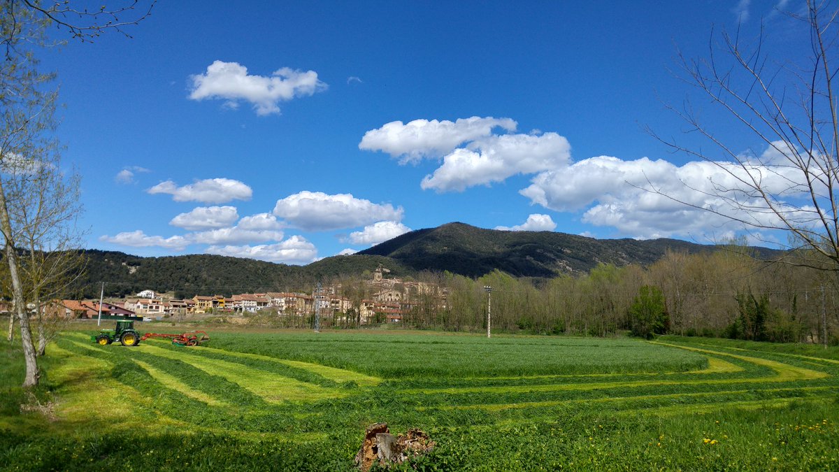 chok68i's tweet photo. Sometimes spring locks you into a web design https://t.co/MLT9cECAdo