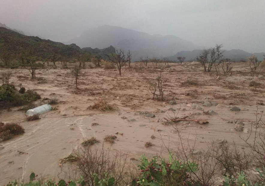 ACTEDYemen's tweet image. Flash #flooding in #Raymah, #Yemen, has severely damaged #agricultural land and killed #livestock.