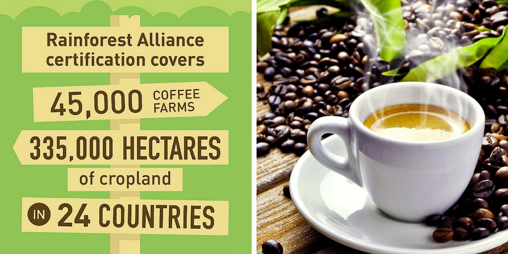 RnfrstAll_UK's tweet photo. 194,356 certified #coffee farms in 24 countries: that's a lot of #sustainability impacts! https://t.co/Ytnr1T227K https://t.co/j2PC73Ca0x
