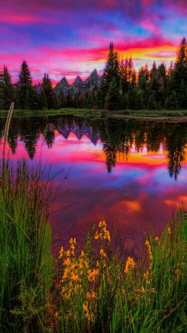 <a href="/huskorkut/">huskorkut</a> 
Good morning 
my friend :-)) 🌿🌿