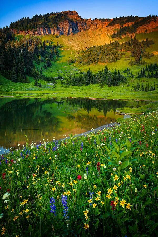 <a href="/marienassar_/">Marie Nassar</a> 
Good morning :-)) 🌻🌻
