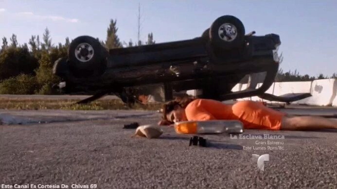 Nicolle 🦄 tweet media