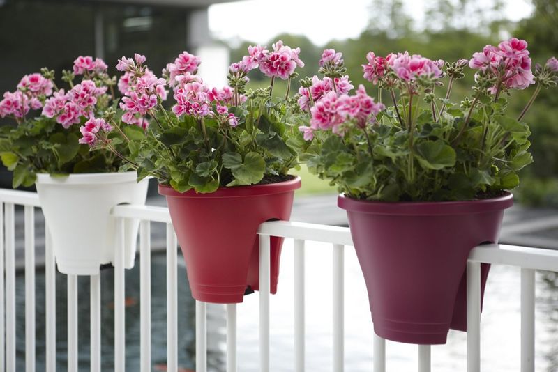 I adore these planters. Check out more space saving tips for your urban garden here: 
ow.ly/10Bd1L