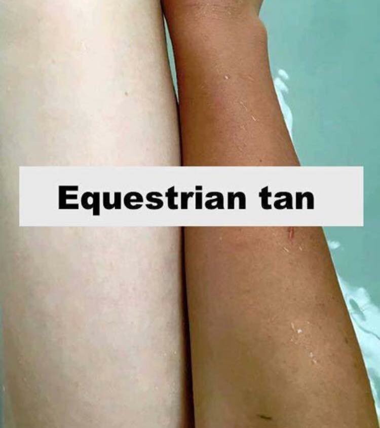 Al Shira'aa Stables tweet media