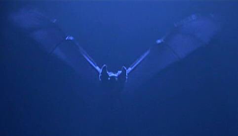 _Mindofamadman's tweet image. If you don't control your fears they will control you. Face your fears.