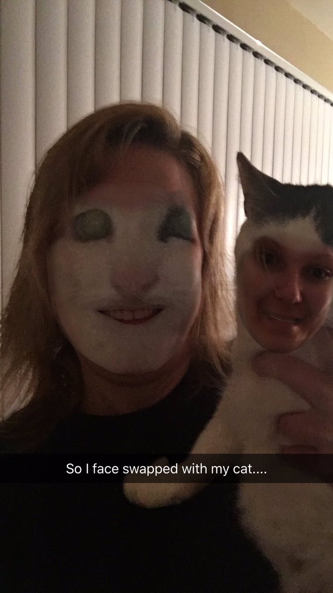 Mis_GuidedMeg's tweet photo. #FaceSwapGoneWrong with my cat Sara Beth. This is all bad #snapchat https://t.co/Jr2QjADwaT