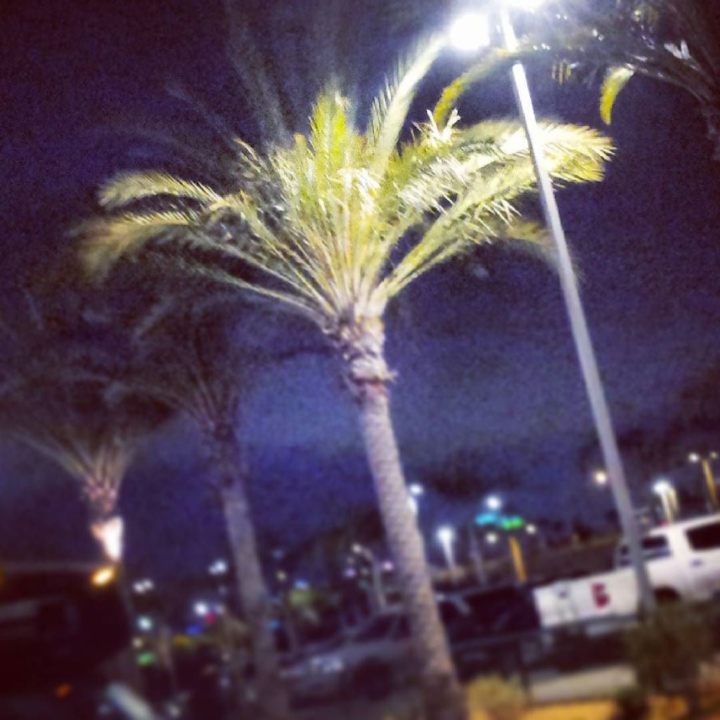layoverlife's tweet photo. #layover #flyingfit #SAN #sandiego #beautiful #weather #california #lovinit #picture https://t.co/UjHEptqA82