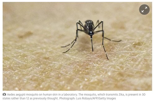 ジカウイルス感染 赤ちゃんの小頭症などの出生異常は 蚊に刺される事で感染するジカウイルス が原因と研究機関が断定 妊婦は ウイルスの流行地に 行かないようにと注意を呼びかけています 性交渉でも感染 Tohru Hirano Scoopnest