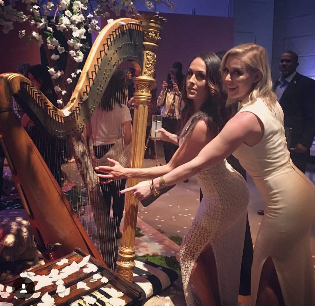 ASUKASMOX's tweet photo. Their friendship is such goals β€π @BellaTwins @ReneeYoungWWE #BriNee https://t.co/l6DoVpdo8f