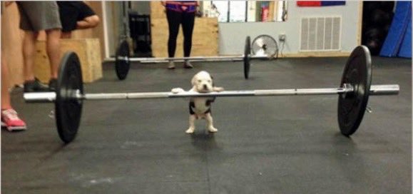 skeletalknight's tweet image. #overcommitment