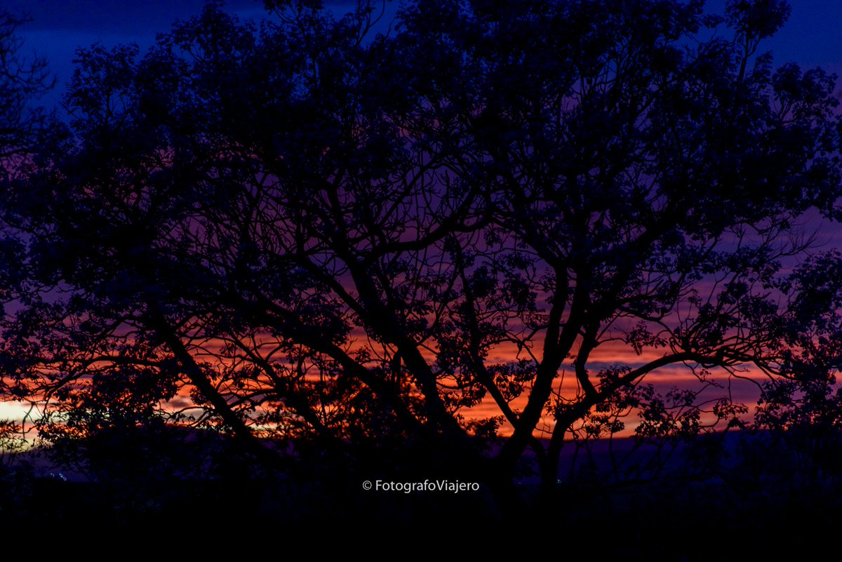Espectacular caída de sol en <a href="/Aguascalientes/">Viva Aguascalientes</a> la cual fue de colores intensos. Mágicas las tardes hidrocálidas