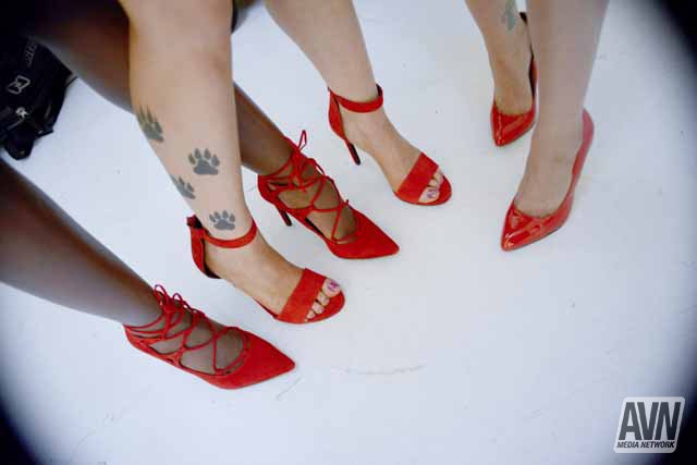 IN ONE ROOM @AnikkaAlbrite @DillionHarper @Romi_Rain @tashareign @NinaElleXXX @VickiChase @AnaFoxxx @avnawards<a class="tags" href="/tag/anikkaalbrite">@anikkaalbrite</a><a class="tags" href="/tag/dillionharper">@dillionharper</a><a class="tags" href="/tag/romi_rain">@romi_rain</a><a href="/tag/greatnight"class="tags"><span>#greatnight</span></a><a href="/tag/verycool"class="tags"><span>#verycool</span></a>