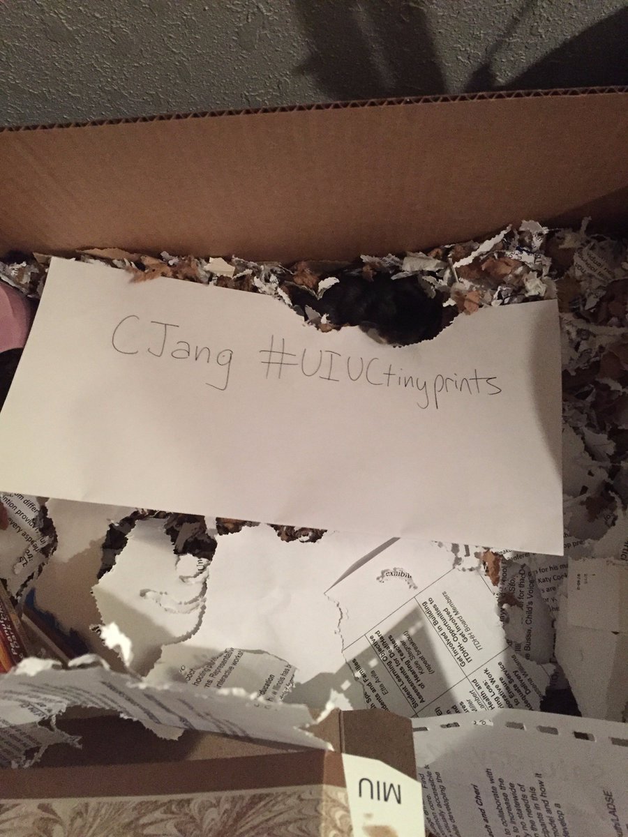 cjang5_uiuc's tweet photo. @Devotta_105 CJang I give my gerbil stuff to chew to save resources used in producing bedding #UIUCtinyprints 🐭 https://t.co/EYs1Utcmtr