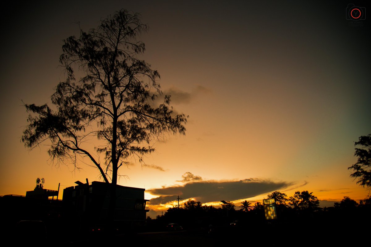 Jim Yonazi tweet media