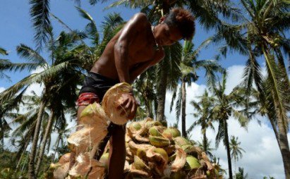 interaksyon's tweet image. Presidentiables dared to pledge return of coco levy funds to small farmers #BilangPilipino bit.ly/20DtodA