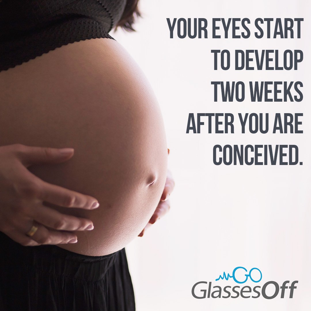 GlassesOff_App's tweet photo. Interesting eye fact...
#eyes #funfacts https://t.co/iG1jAtH3yt