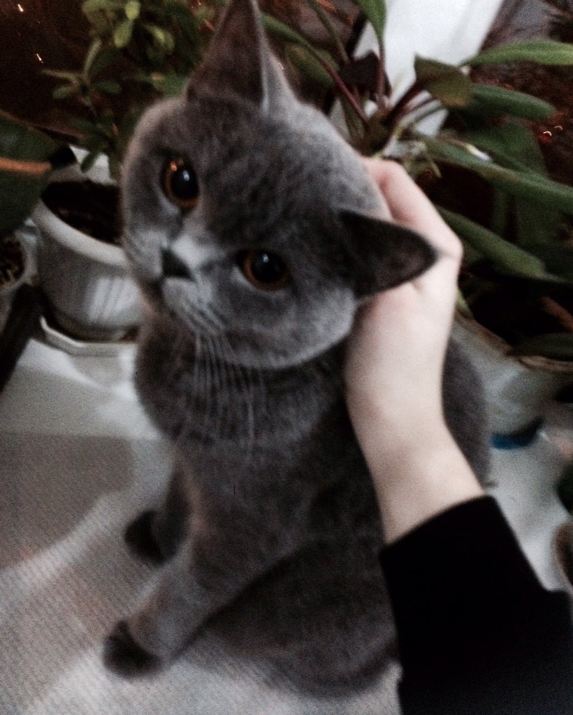 Mints588's tweet image. 